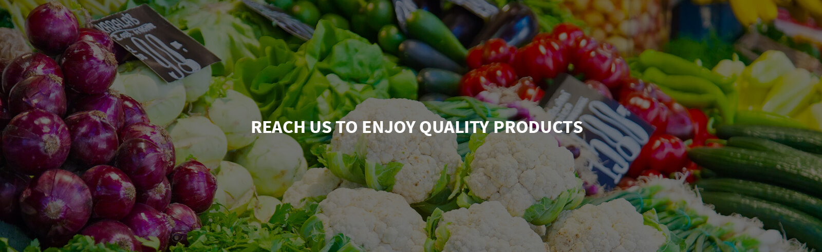 export companies in chennai